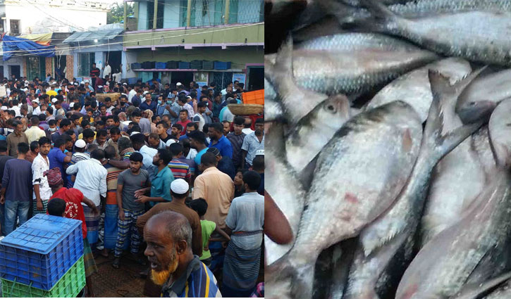বাগেরহাটে ইলিশ বাজারে ভিড়, দামও চড়া বাগেরহাটে ইলিশ বাজারে ভিড়, দামও চড়া