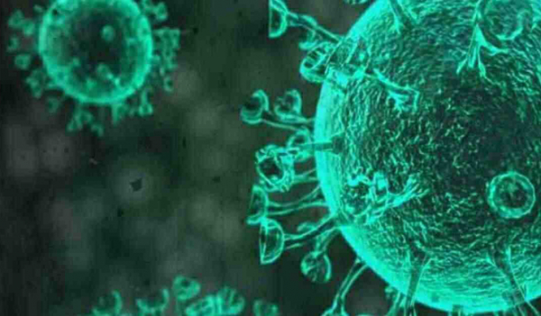 নরসিংদীতে করোনায় আক্রান্তের সংখ্যা বেড়ে ২০৫৪