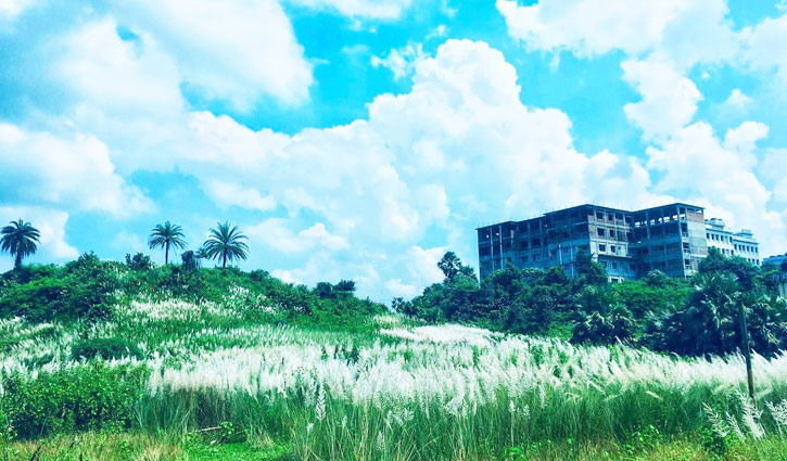 কুবি ক্যাম্পাসে শরতের মিতালি কুবি ক্যাম্পাসে শরতের মিতালি