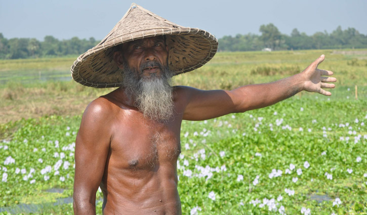 পানি নিষ্কাশনের অভাবে নষ্ট হচ্ছে শত শত বিঘা জমির ফসল পানি নিষ্কাশনের অভাবে নষ্ট হচ্ছে শত শত বিঘা জমির ফসল