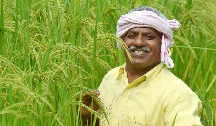 করোনাকালে খাদ্য নিরাপত্তা জরুরি করোনাকালে খাদ্য নিরাপত্তা জরুরি