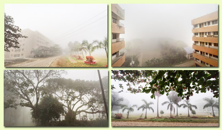 প্রাণহীন শীতের ক্যাম্পাস প্রাণহীন শীতের ক্যাম্পাস