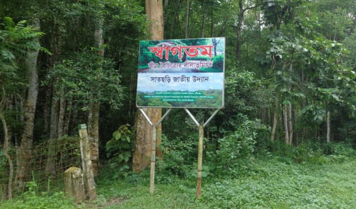 সাতছড়িতে গোলাবারুদের সন্ধানে অভিযানে বিজিবি সাতছড়িতে গোলাবারুদের সন্ধানে অভিযানে বিজিবি