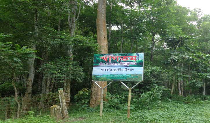 ৮ মাস পর খুলছে সাতছড়ি জাতীয় উদ্যান ৮ মাস পর খুলছে সাতছড়ি জাতীয় উদ্যান