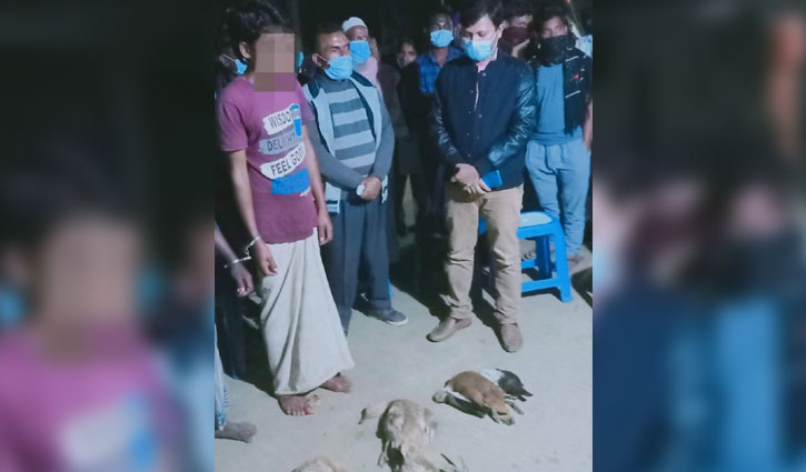 হাকালুকিতে পাখি হত্যার দায়ে ২ ব্যক্তির কারাদণ্ড হাকালুকিতে পাখি হত্যার দায়ে ২ ব্যক্তির কারাদণ্ড