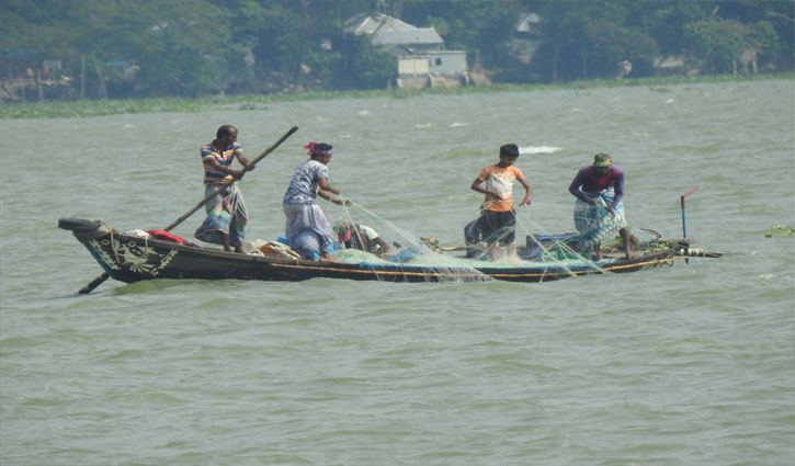 মা ইলিশ ধরার অপরাধে মুন্সীগঞ্জে ১৬ জেলের কারাদণ্ড মা ইলিশ ধরার অপরাধে মুন্সীগঞ্জে ১৬ জেলের কারাদণ্ড