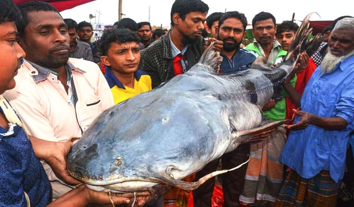 ঘুরে আসুন বগুড়ার ঐতিহ্যবাহী ‘জামাই মেলা’
