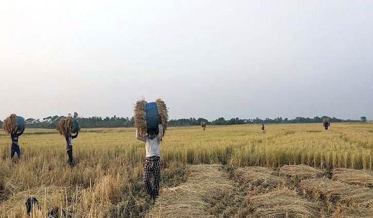 আমন র ব ম প র ফলন ক ষক র ম খ হ স