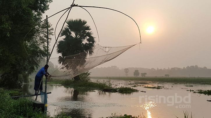 প্রকৃতির পালাবদলে এখন হেমন্ত প্রকৃতির পালাবদলে এখন হেমন্ত