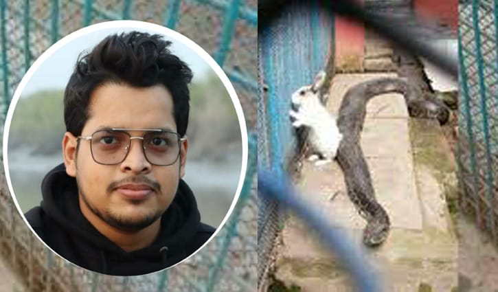 দেয়ালের ওপারেই হয়তো মুক্তি… দেয়ালের ওপারেই হয়তো মুক্তি…