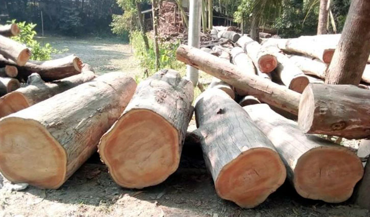 মানিকগঞ্জে অনুমোদন ছাড়া গাছ বিক্রি: চেয়ারম্যানের বিরুদ্ধে মামলা