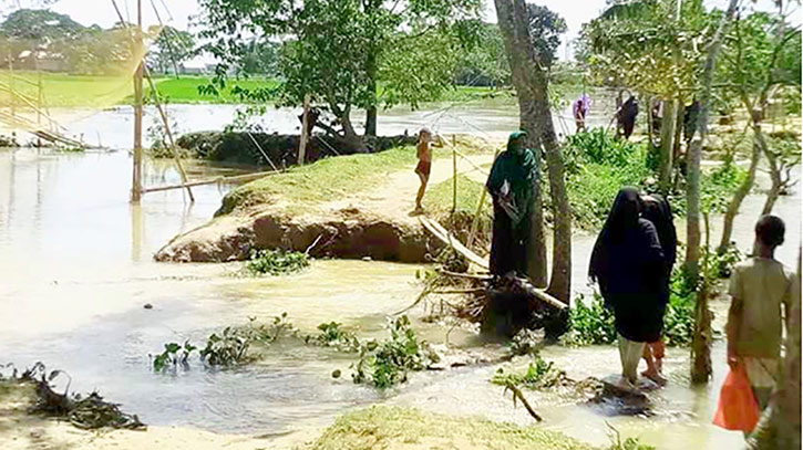 ৫ কিলোমিটার সড়কে ২০টি বাঁশের সাঁকো ৫ কিলোমিটার সড়কে ২০টি বাঁশের সাঁকো