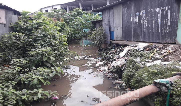 লাইফ সাপোর্টে ‘ছাগলমারা খাল’ লাইফ সাপোর্টে ‘ছাগলমারা খাল’