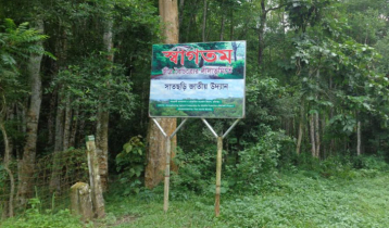 সাতছড়িতে গোলাবারুদের সন্ধানে অভিযানে বিজিবি সাতছড়িতে গোলাবারুদের সন্ধানে অভিযানে বিজিবি