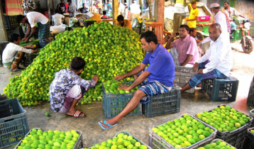 হাত বদলে সবজির দাম বাড়ছে দ্বিগুণ 