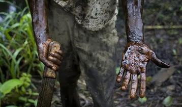 কালো সোনার কালো যাদুর দেশ