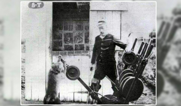 যে বেবুন রেলে চাকরি করতো