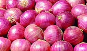 পেঁয়াজের আমদানি শুল্ক প্রত্যাহার পেঁয়াজের আমদানি শুল্ক প্রত্যাহার