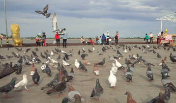 ভিয়েতনামের ফ্লাইটের অপক্ষোয়