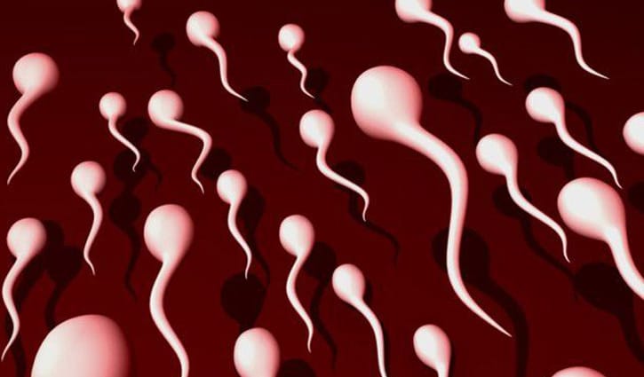 পুরুষের শারীরিক উর্বরতার ৬ লক্ষণ