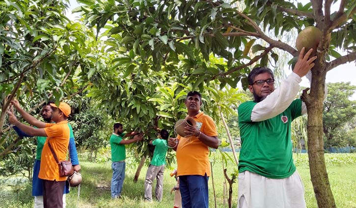 পাখির জন্য অন্যরকম ভালোবাসা পাখির জন্য অন্যরকম ভালোবাসা