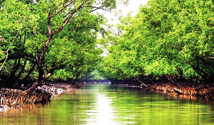 সুন্দরবন রক্ষায় করণীয়