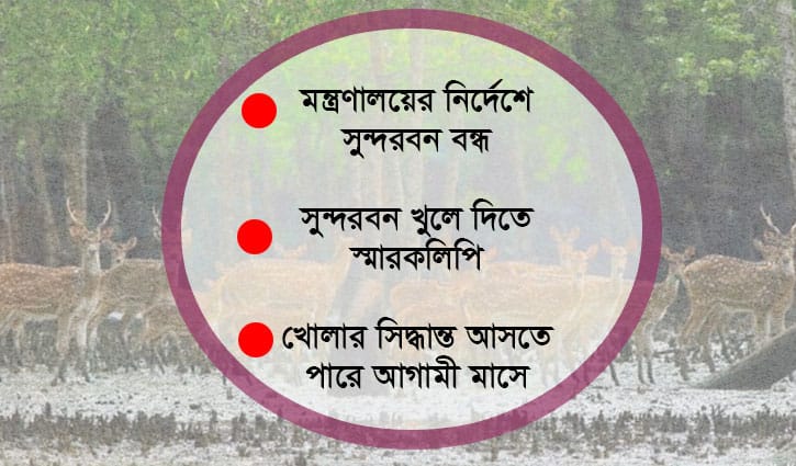 করোনায় সুন্দরবনে বেপরোয়া অপরাধীরা করোনায় সুন্দরবনে বেপরোয়া অপরাধীরা
