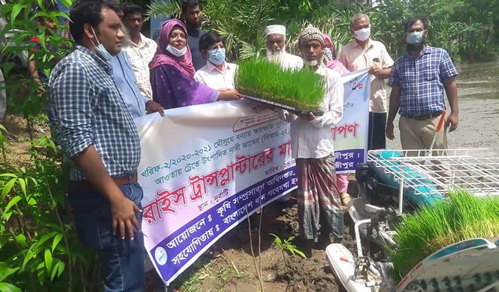 কালীগঞ্জে রাইস ট্রান্সপ্লান্টারে রোপণ হলো ধানের চারা কালীগঞ্জে রাইস ট্রান্সপ্লান্টারে রোপণ হলো ধানের চারা