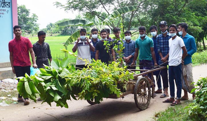 দ্য রাইজিং স্টুডেন্ট সোসাইটির বৃক্ষরোপণ ও বিতরণ দ্য রাইজিং স্টুডেন্ট সোসাইটির বৃক্ষরোপণ ও বিতরণ