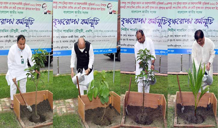 মুজিববর্ষ উপলক্ষে সংসদ চত্বরে গাছের চারা রোপণ করলেন ৪ এমপি মুজিববর্ষ উপলক্ষে সংসদ চত্বরে গাছের চারা রোপণ করলেন ৪ এমপি