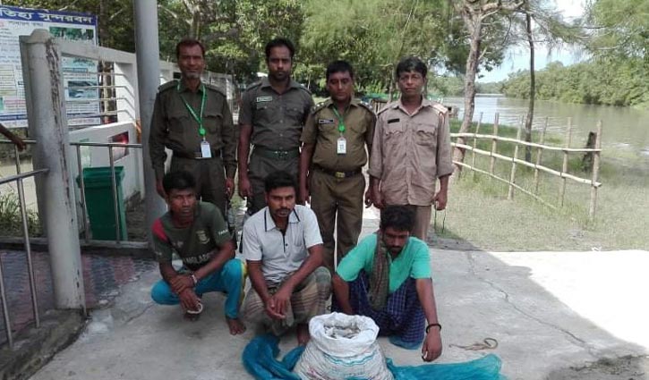 সুন্দরবনে বিষ দিয়ে মাছ ধরার সময় আটক ৩ সুন্দরবনে বিষ দিয়ে মাছ ধরার সময় আটক ৩
