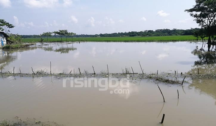 বাগেরহাটে টানা বর্ষণে জলাবদ্ধতা, অর্ধলক্ষাধিক মানুষ পানিবন্দি বাগেরহাটে টানা বর্ষণে জলাবদ্ধতা, অর্ধলক্ষাধিক মানুষ পানিবন্দি