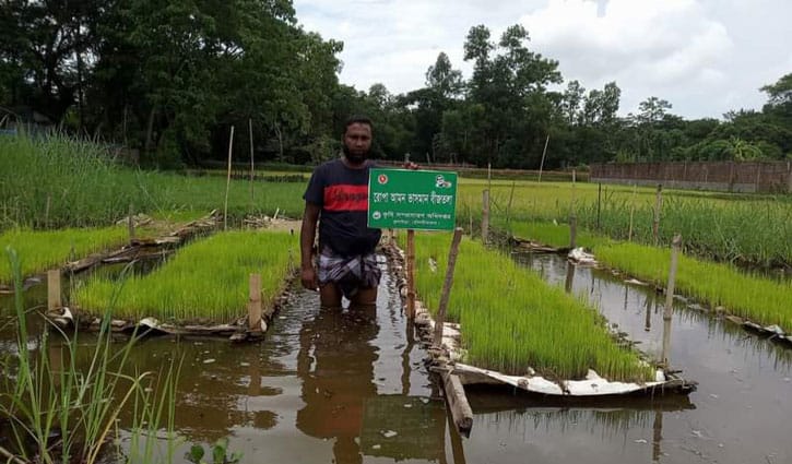 ভেলার বীজতলায় কম খরচে বেশি লাভ ভেলার বীজতলায় কম খরচে বেশি লাভ