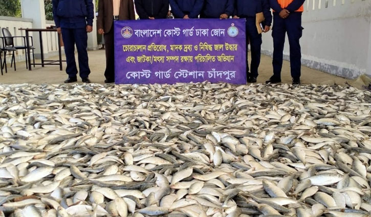 চাঁদপুরে ২ হাজার ৫শ কেজি জাটকা জব্দ চাঁদপুরে ২ হাজার ৫শ কেজি জাটকা জব্দ