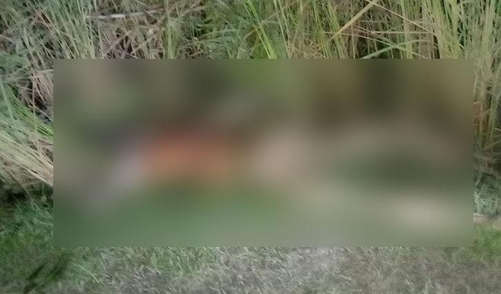 কোম্পানীগঞ্জে ধানক্ষেত থেকে মরদেহ উদ্ধার কোম্পানীগঞ্জে ধানক্ষেত থেকে মরদেহ উদ্ধার