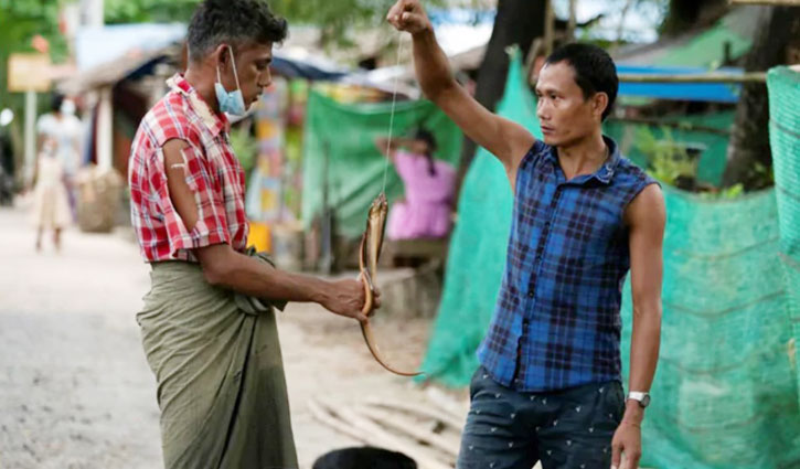 ইঁদুর-সাপ খাচ্ছে মিয়ানমারের বাসিন্দারা ইঁদুর-সাপ খাচ্ছে মিয়ানমারের বাসিন্দারা