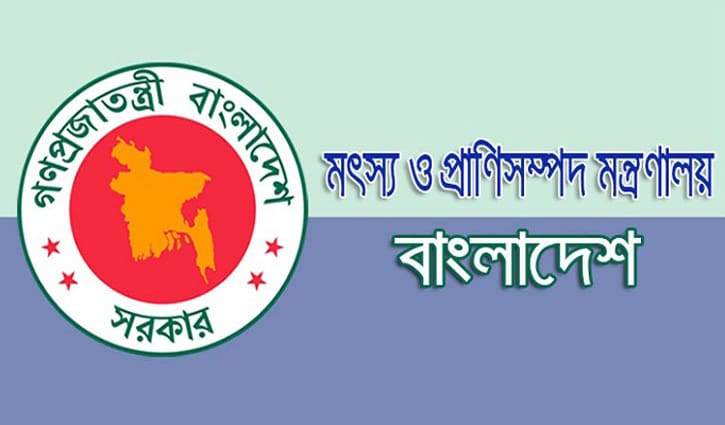 মা ইলিশ সংরক্ষণে একাধিক তদারকি দল মা ইলিশ সংরক্ষণে একাধিক তদারকি দল
