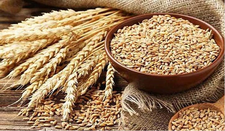 রাশিয়া থেকে এক লাখ টন গম আমদানি করবে সরকার রাশিয়া থেকে এক লাখ টন গম আমদানি করবে সরকার