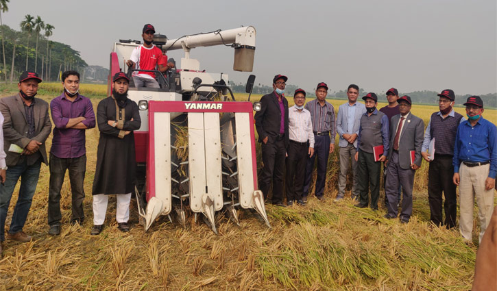 ইয়ানমার কম্বাইন হারভেস্টারের মাঠ প্রদর্শনী ইয়ানমার কম্বাইন হারভেস্টারের মাঠ প্রদর্শনী