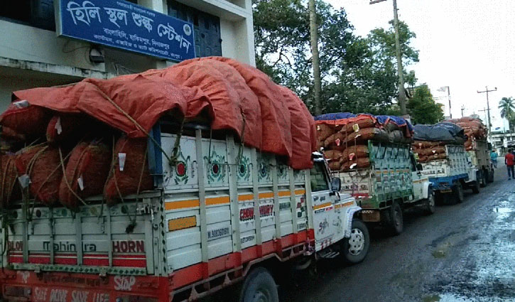 একমাসে হিলি দিয়ে দেশে এলো ১১০০ মেট্রিকটন কাঁচা মরিচ