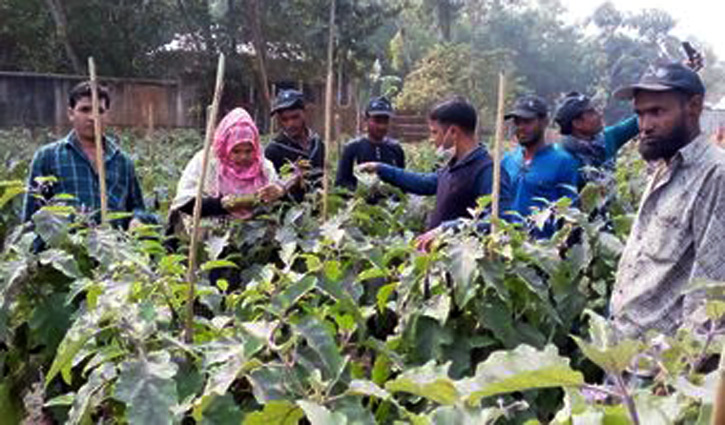 নিরাপদ ফসল উৎপাদনে কৃষক-কৃষাণীদের মাঠে নিয়ে প্রশিক্ষণ নিরাপদ ফসল উৎপাদনে কৃষক-কৃষাণীদের মাঠে নিয়ে প্রশিক্ষণ