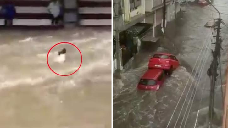 পানির তোড়ে ভেসে যাচ্ছে মানুষ, গাড়ি পানির তোড়ে ভেসে যাচ্ছে মানুষ, গাড়ি
