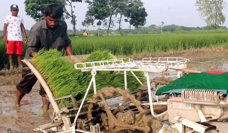 জনপ্রিয় হচ্ছে সময়-অর্থ সাশ্রয়ী ‘রাইস প্লান্টার’ জনপ্রিয় হচ্ছে সময়-অর্থ সাশ্রয়ী ‘রাইস প্লান্টার’