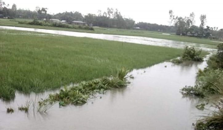 বৃষ্টিতে ডুবে গেছে লালমনিরহাটের মাঠ ঘাট বৃষ্টিতে ডুবে গেছে লালমনিরহাটের মাঠ ঘাট