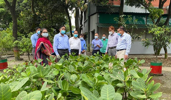 অপ্রচলিত ফসলের উন্নত চারাকলম সরবরাহের নির্দেশ কৃষিমন্ত্রীর অপ্রচলিত ফসলের উন্নত চারাকলম সরবরাহের নির্দেশ কৃষিমন্ত্রীর
