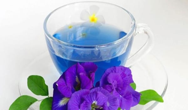 স্মৃতিশক্তি বাড়াতে অপরাজিতা ফুলের চা