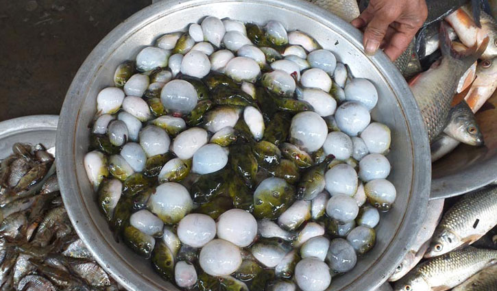 পটকা মাছ খেয়ে বউ-শাশুড়ির মৃত্যু