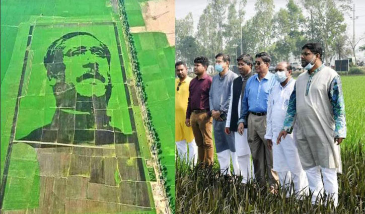 শস্যচিত্রে বঙ্গবন্ধু সবাইকে অনুপ্রাণিত করবে: কৃষিমন্ত্রী শস্যচিত্রে বঙ্গবন্ধু সবাইকে অনুপ্রাণিত করবে: কৃষিমন্ত্রী