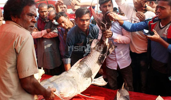 অনেক নামের রঙের মেলা অনেক নামের রঙের মেলা
