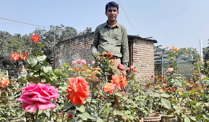 বাড়ির ছাদে শামীমের গোলাপসমগ্র  